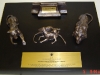 nleomf-distingusihed-award