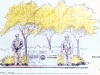 sample-sketch-124