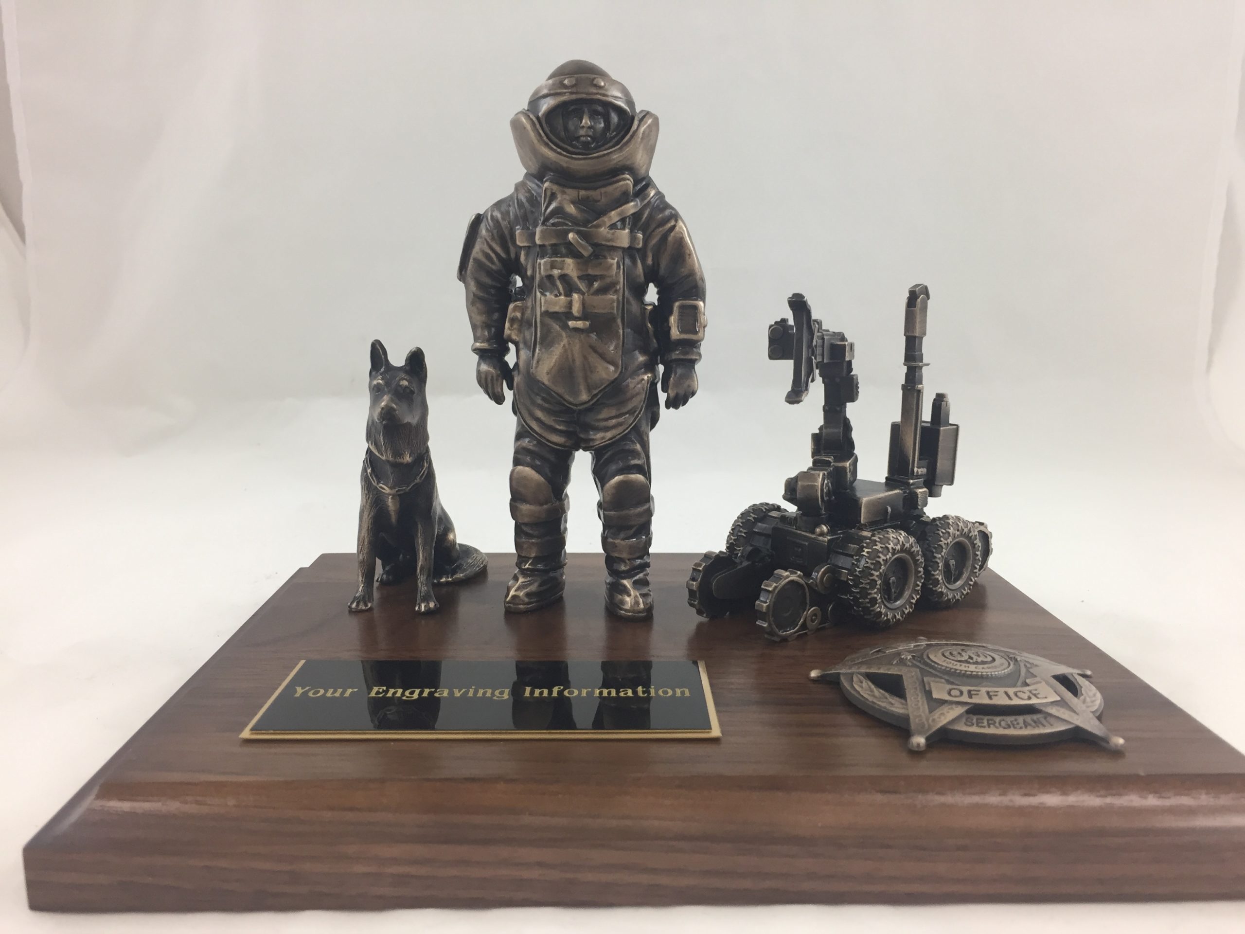 bomb technician recognition award