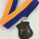 bronze medals with ribbon
