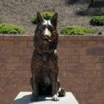 Bronze law enforcement canine German Shepherd statue
